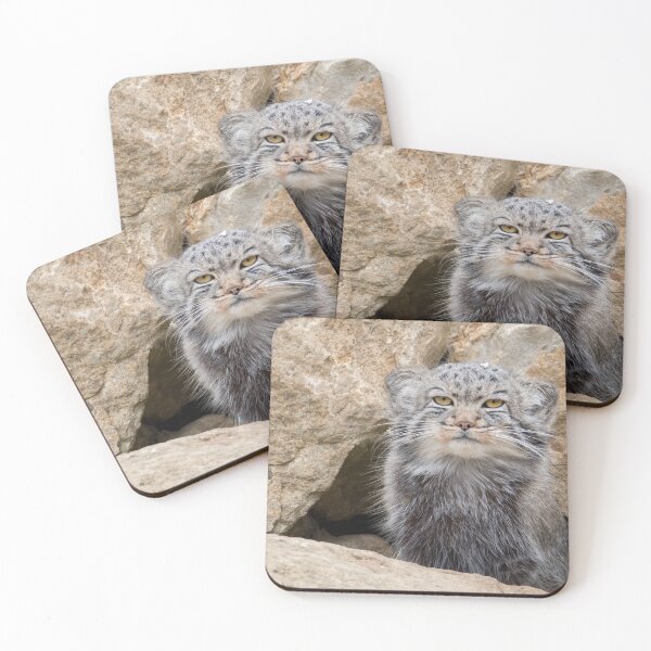Item preview, Pallas cat sitting outside it's den designed and sold by rzierik.