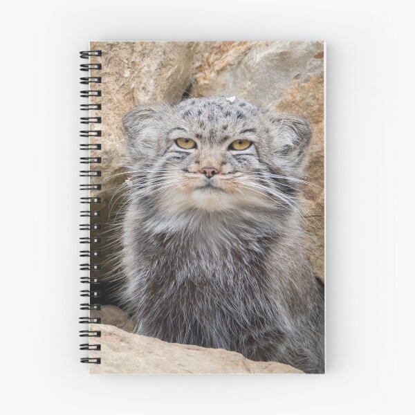 Item preview, Pallas cat sitting outside it's den designed and sold by rzierik.