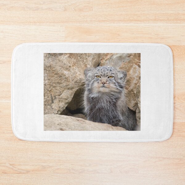 Item preview, Pallas cat sitting outside it's den designed and sold by rzierik.