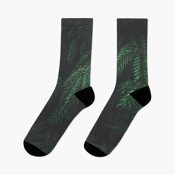 Item preview, Branches of fir tree in dark background designed and sold by urbonasphotos.