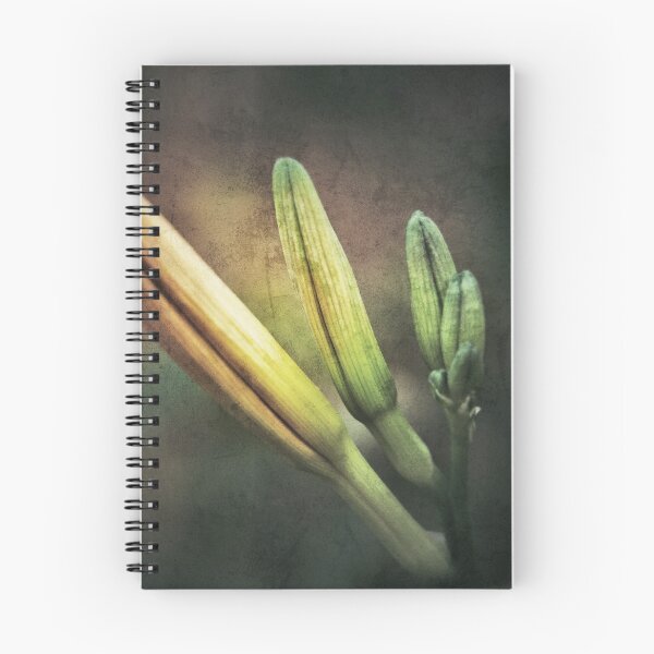 Item preview, Hemerocallis Flower designed and sold by hinomaru.