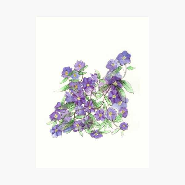 Purple Flowers on Anza Art Print
