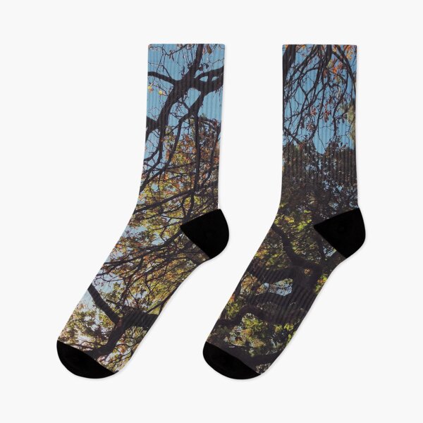 Item preview, Autumn trees designed and sold by Asrais.