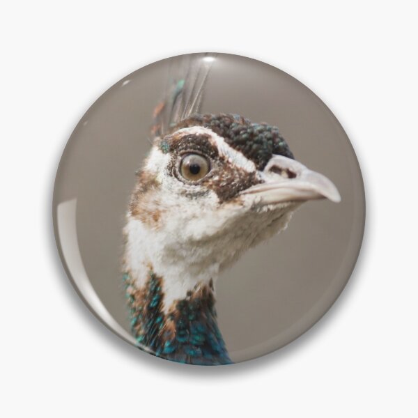 Item preview, Proud lady designed and sold by Dominika Aniola.
