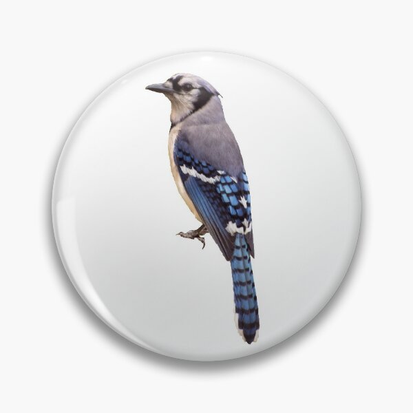 Item preview, Blue Jay designed and sold by Zina Stromberg.