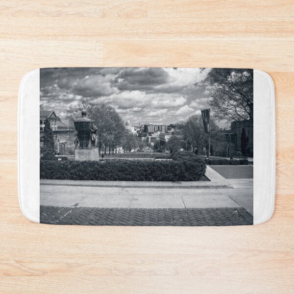 Item preview, Capitol - Madison - Wisconsin from Bascom Hall 3 designed and sold by StevenRalserPhoto.