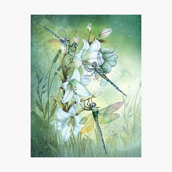Iridescence Photographic Print