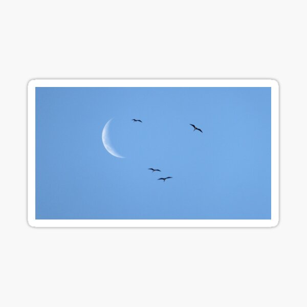 Dancing with the moon Sticker