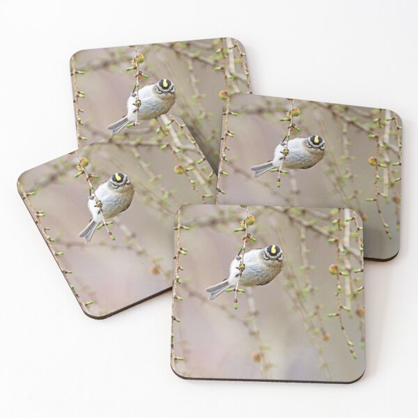 Item preview, Kinglet Attitude designed and sold by Deb Oppermann.