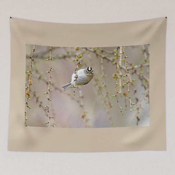 Item preview, Kinglet Attitude designed and sold by Deb Oppermann.
