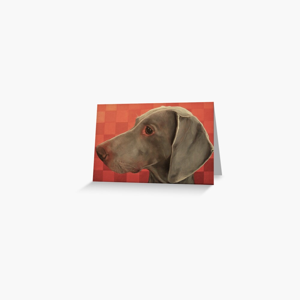 grey velvet weimaraner