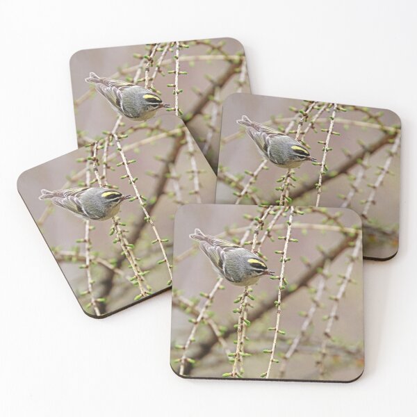 Item preview, Kinglet Food designed and sold by Deb Oppermann.