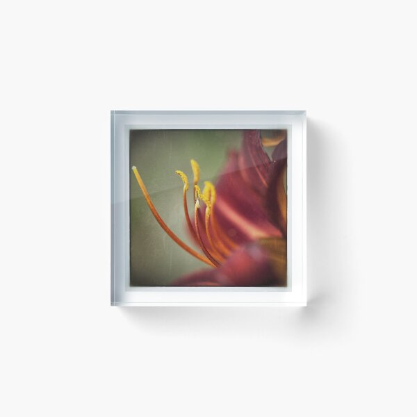 Item preview, Hemerocallis Stamen designed and sold by hinomaru.