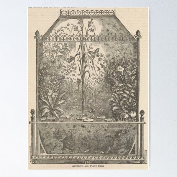 Item preview, Victorian Terrarium designed and sold by BlueSpecsStudio.