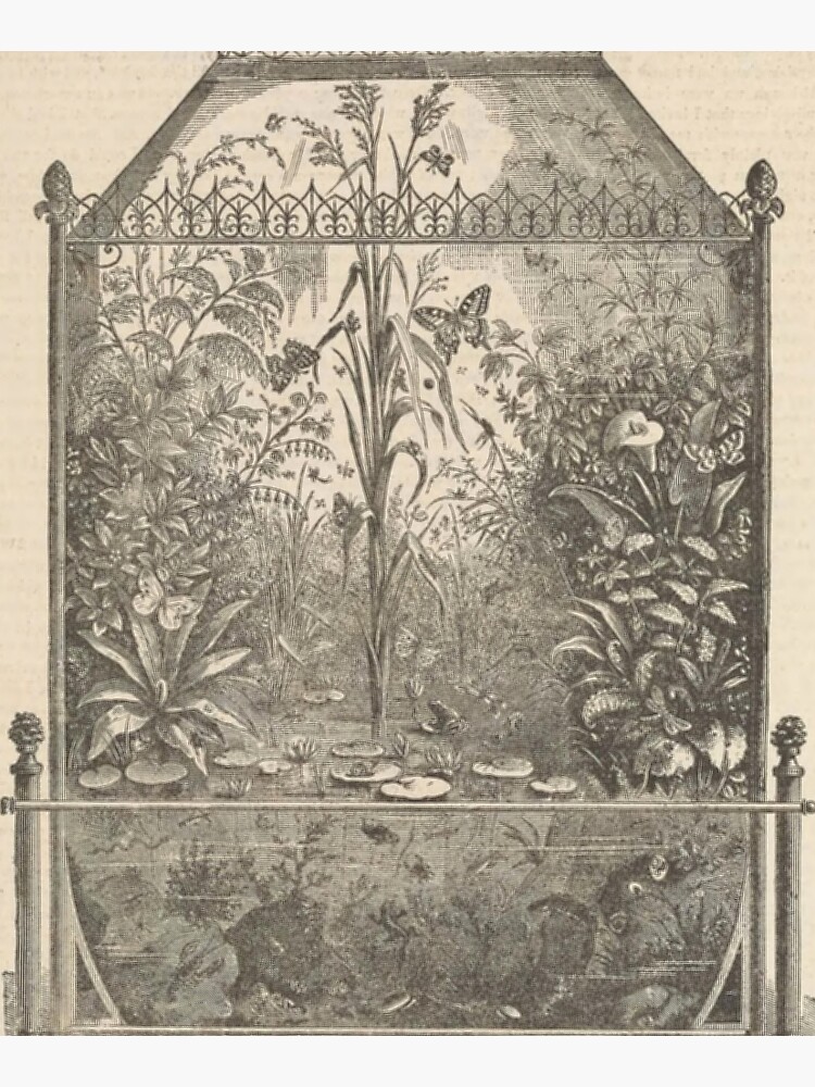 Victorian Terrarium by bluespecsstudio