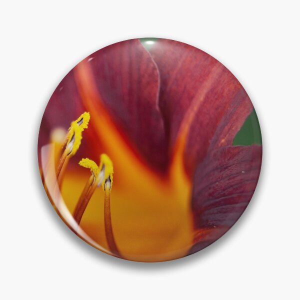 Item preview, Hemerocallis Flower and Stamen designed and sold by hinomaru.