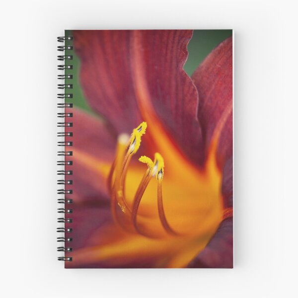 Item preview, Hemerocallis Flower and Stamen designed and sold by hinomaru.