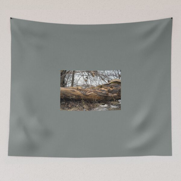Item preview, Wood and Snow designed and sold by GGPhotography.