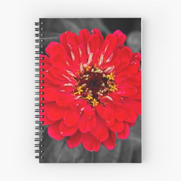 Item preview, Flower designed and sold by Asrais.
