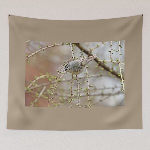 Item preview, Chubby Kinglet designed and sold by Deb Oppermann.