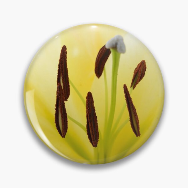 Item preview, Lilium  'Big Brother'  Lily  Oriental Trumpet lily cross  OT lily  designed and sold by Chris Burrows.