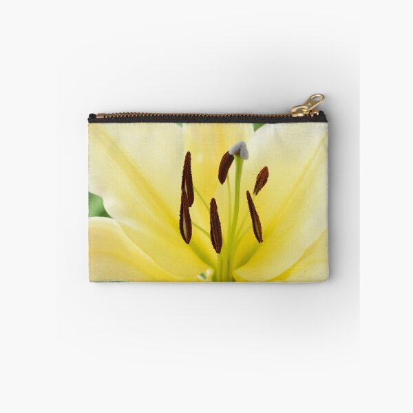 Item preview, Lilium  'Big Brother'  Lily  Oriental Trumpet lily cross  OT lily  designed and sold by Chris Burrows.