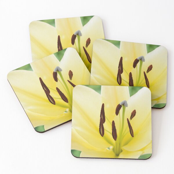 Item preview, Lilium  'Big Brother'  Lily  Oriental Trumpet lily cross  OT lily  designed and sold by Chris Burrows.