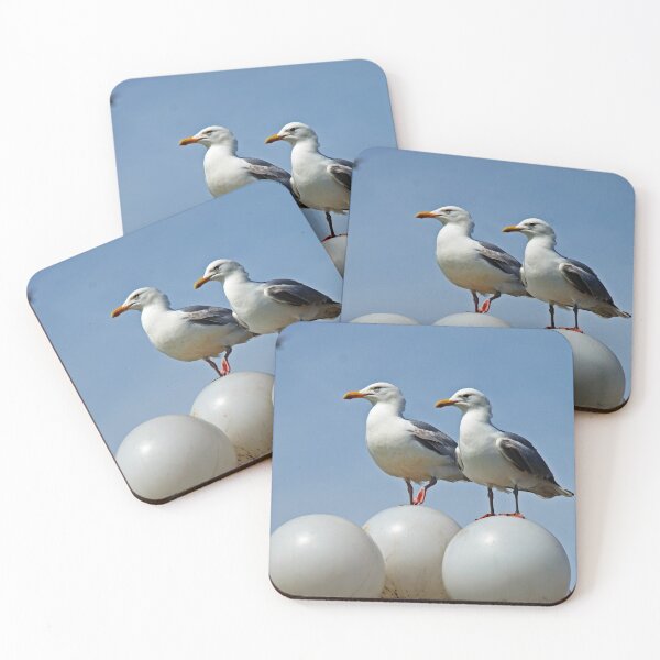 Item preview, Seagulls designed and sold by Asrais.