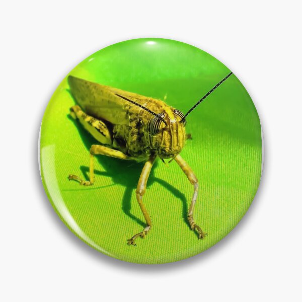 Item preview, Cricket designed and sold by Capuletdesigns.