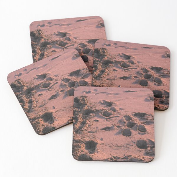Item preview, Los caminos que nos faltan designed and sold by Comediatropical.