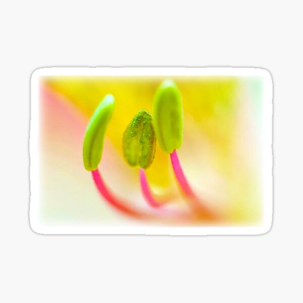 Item preview, Stamens designed and sold by Shh OP.