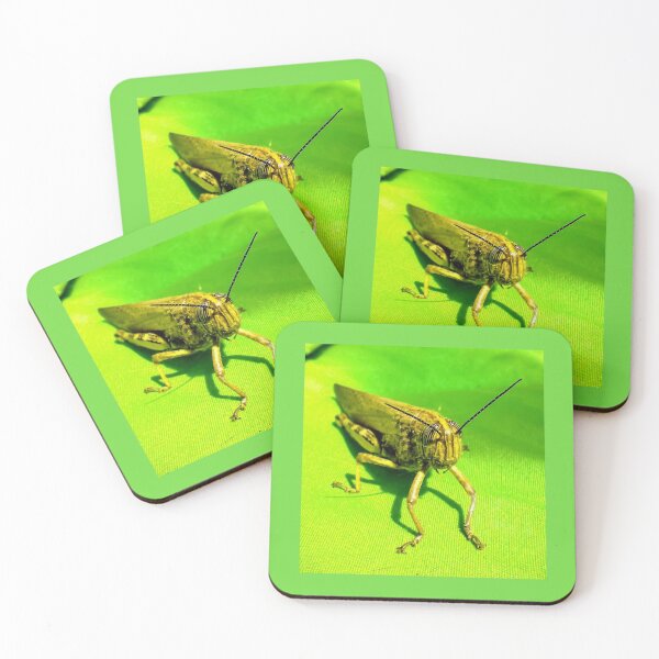 Item preview, Cricket designed and sold by Capuletdesigns.