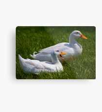 Quack quack quack, quack quack quack Metal Print