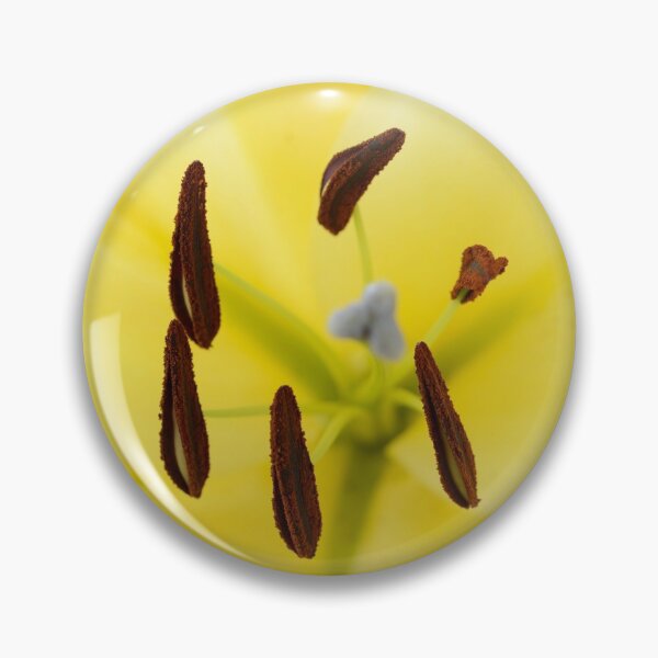 Artikelvorschau, Phygelius Candy Drops Serie der gelben Candy Drops entworfen und verkauft von Chris Burrows.