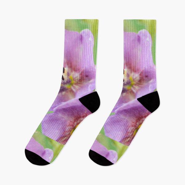 Item preview, Verbascum  'Sugar Plum'  Mullein   designed and sold by Chris Burrows.