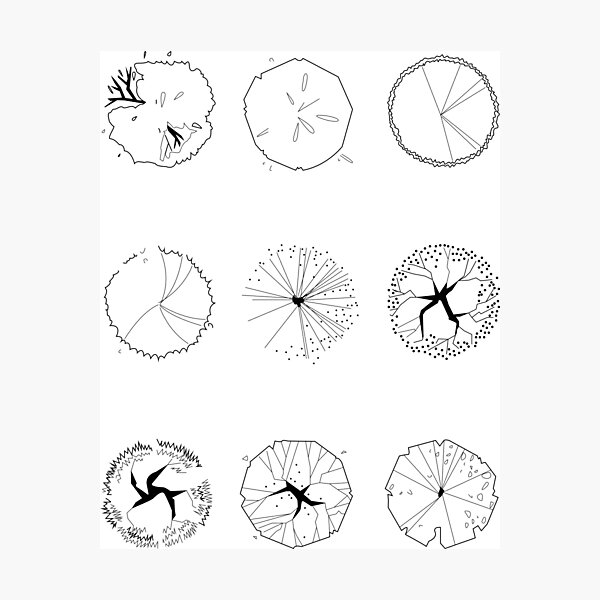 Item preview, Landscape Architect Tree Symbols  designed and sold by CM-PD.