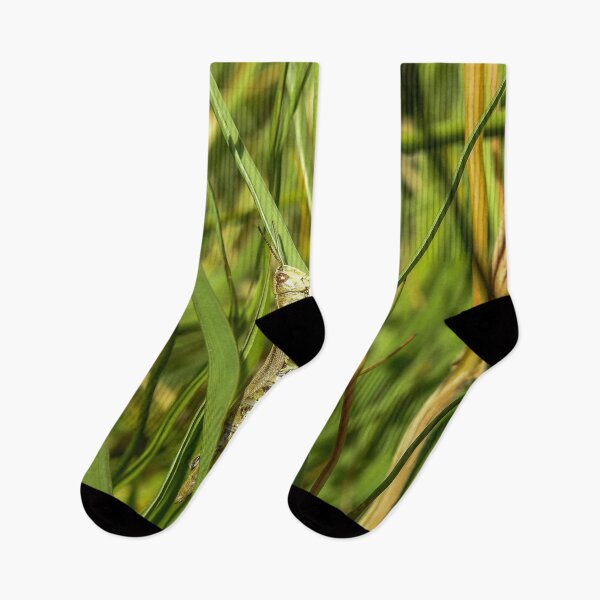 Item preview, Camouflage of grasshopper on grass designed and sold by RezieMart.