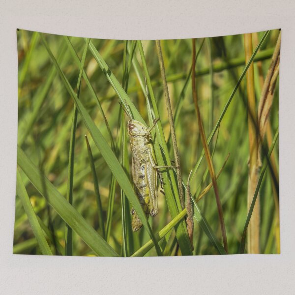 Item preview, Camouflage of grasshopper on grass designed and sold by RezieMart.