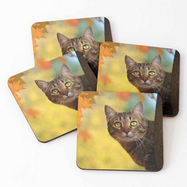 Item preview, Fall Cat designed and sold by Lauren Galanty.