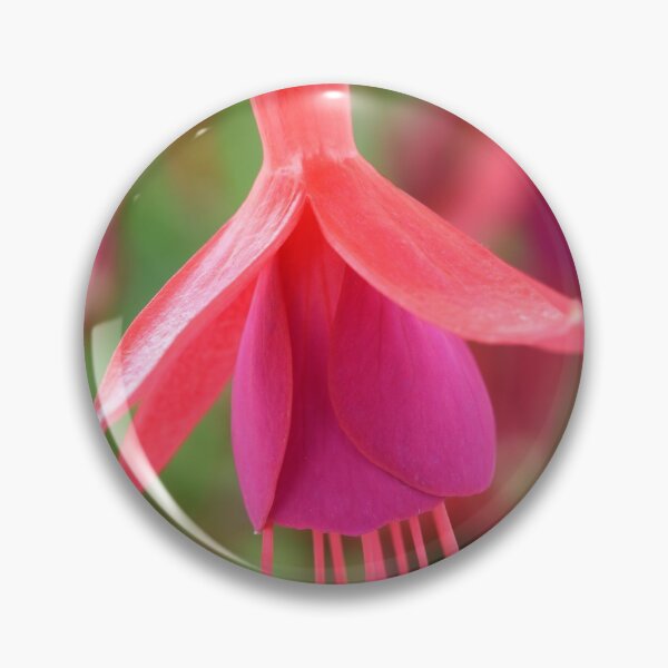 Item preview, Fuchsia  'Pink Fizz'   designed and sold by Chris Burrows.