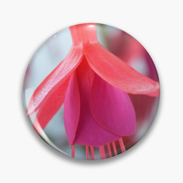 Item preview, Fuchsia 'Pink Fizz' designed and sold by Chris Burrows.