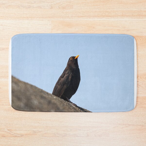 Item preview, Posing blackbird designed and sold by GreyFeatherPhot.
