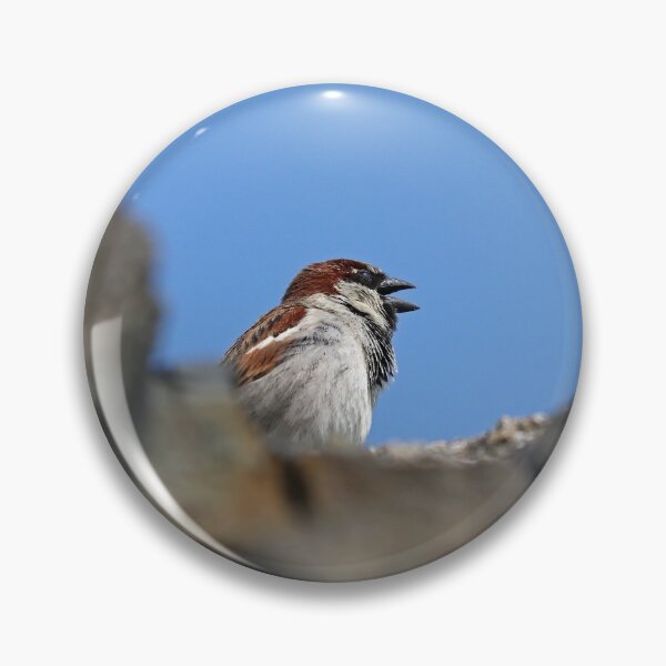 Item preview, Sparrow singing his heart out designed and sold by GreyFeatherPhot.