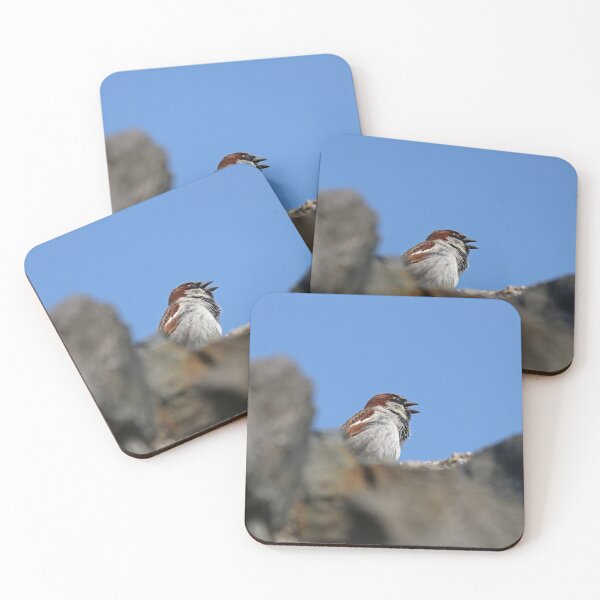 Item preview, Sparrow singing his heart out designed and sold by GreyFeatherPhot.