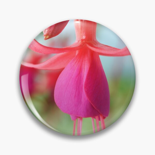 Item preview, Fuchsia 'Pink Fizz' designed and sold by Chris Burrows.
