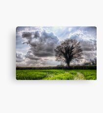 One Tree Canvas Print