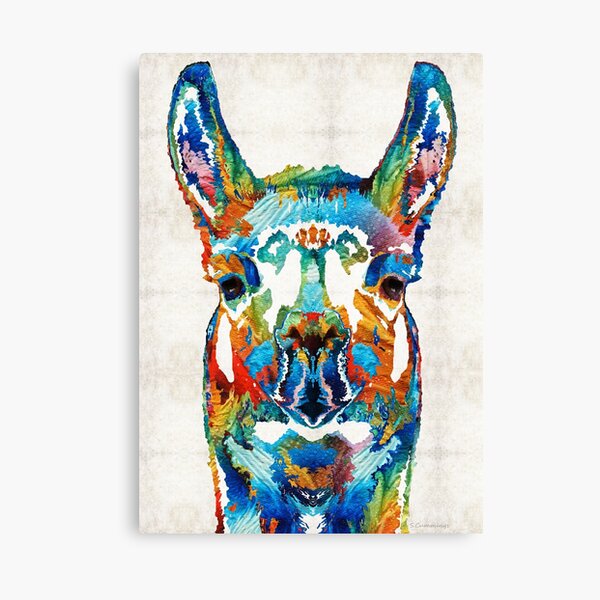 Colorful Llama Art - The Prince - By Sharon Cummings Canvas Print