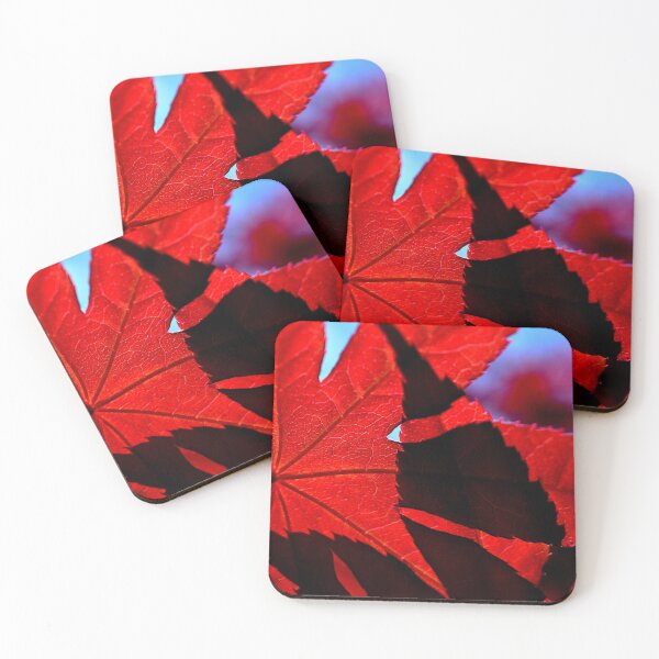 Item preview, Japanese maple leaves 2 designed and sold by chrispricephoto.
