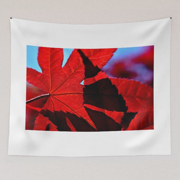 Item preview, Japanese maple leaves 2 designed and sold by chrispricephoto.