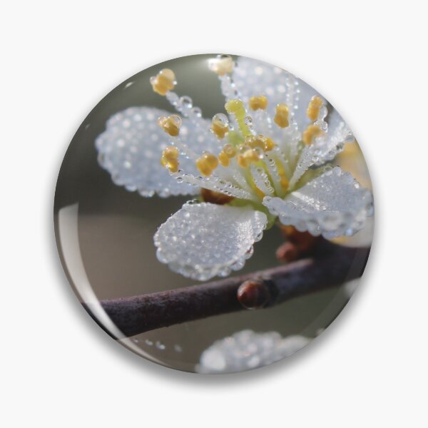 Item preview, Beautiful dew covered Prunus spinosa or Buckthorn designed and sold by Imladris01.